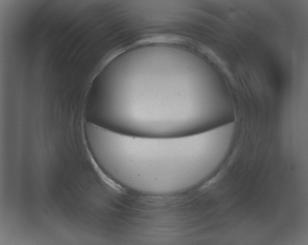 X0000070201425200605261024