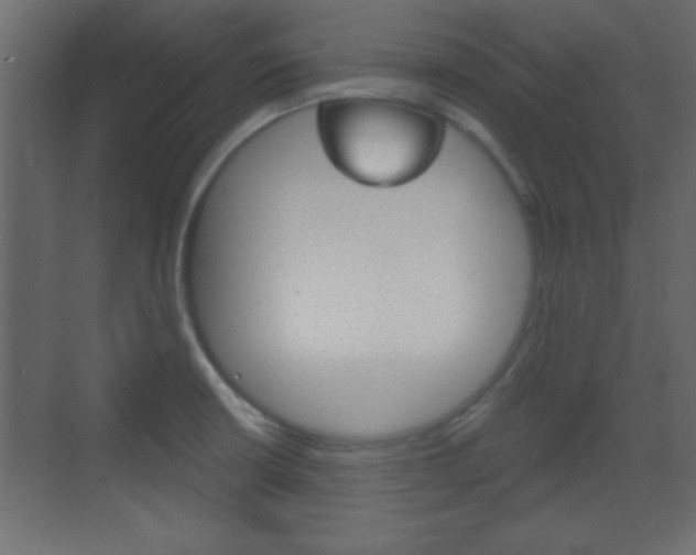 X0000070201426200605261024
