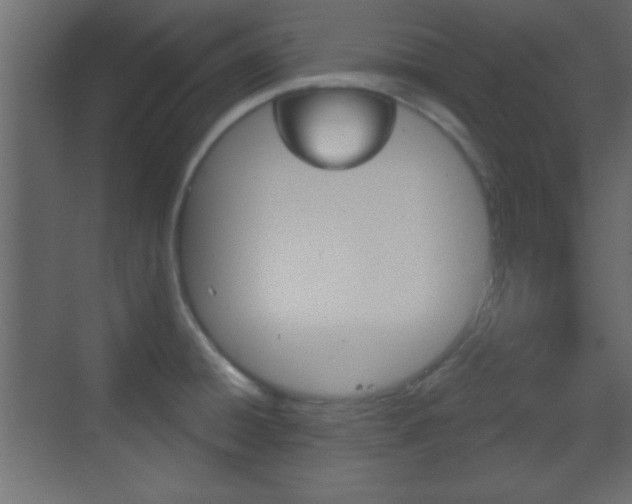 X0000070201428200605261024
