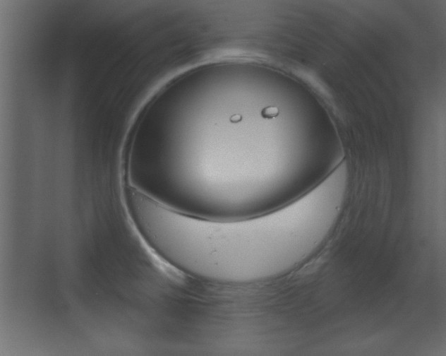 X0000070201430200605261024