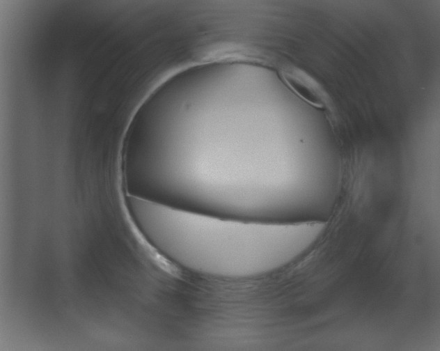 X0000070201431200605261024