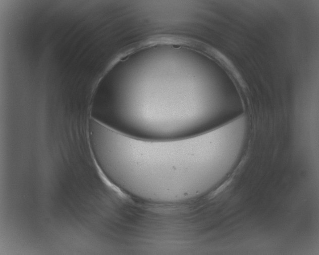 X0000070201433200605261024