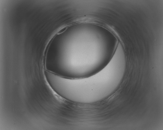 X0000070201434200605261024