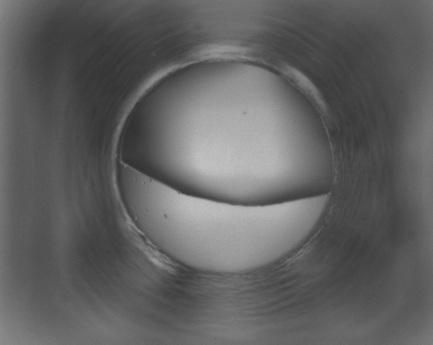 X0000070201435200605261024