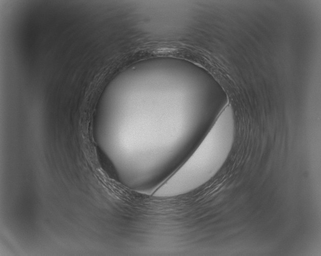 X0000070201441200605261024