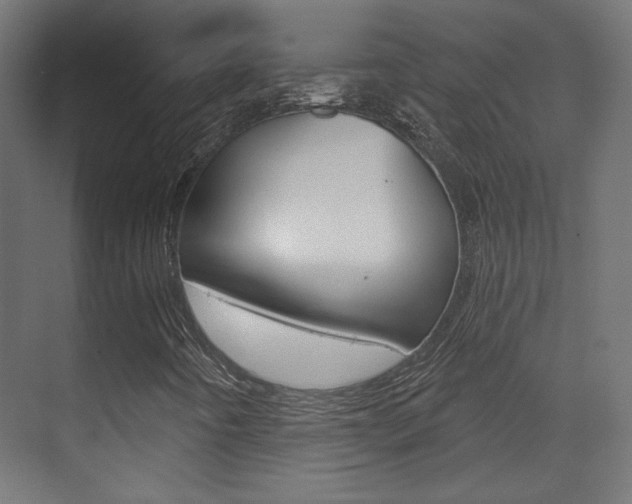 X0000070201442200605261024