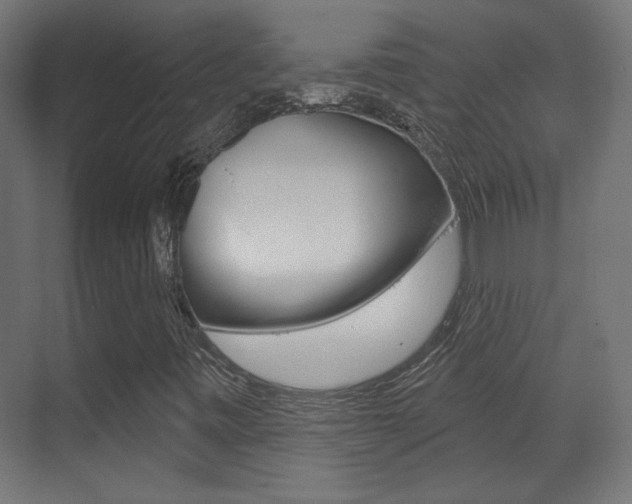X0000070201443200605261024