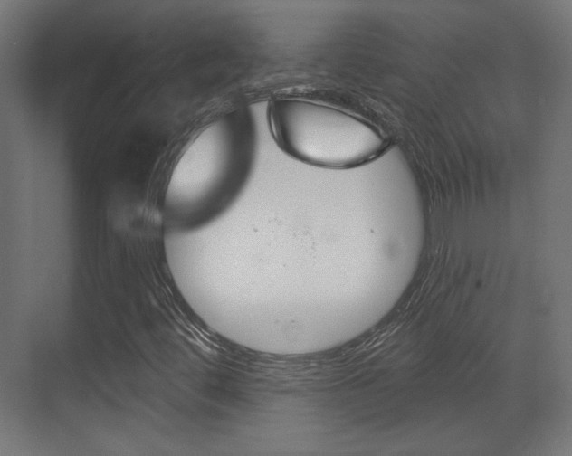 X0000070201444200605261024