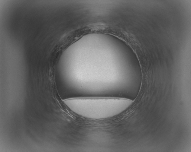 X0000070201445200605261024