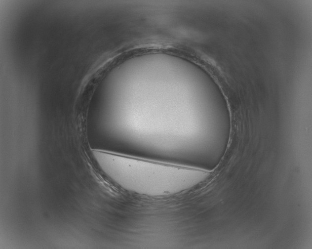X0000070201448200605261024