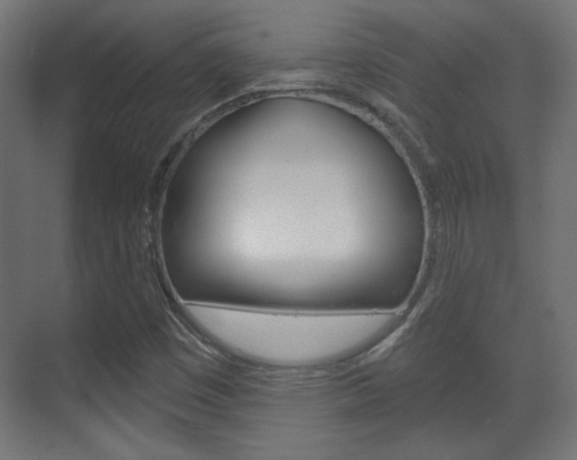 X0000070201449200605261024