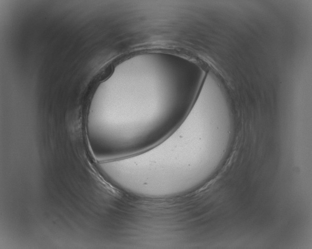 X0000070201450200605261024