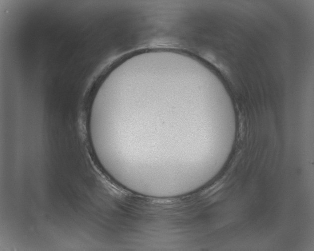 X0000070201454200605261023