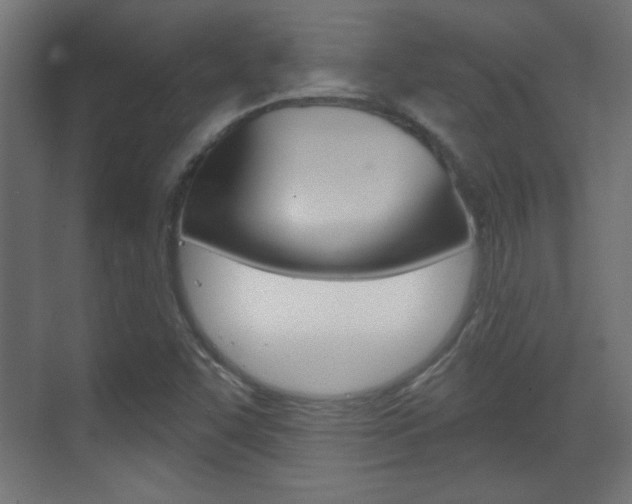 X0000070201455200605261023