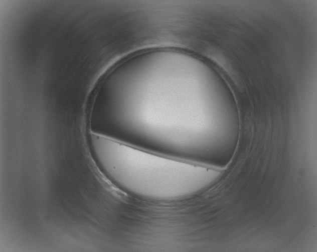X0000070201460200605261023