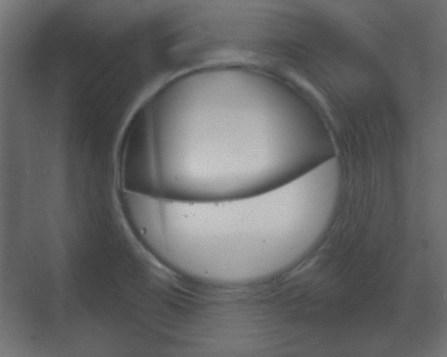 X0000070201467200605261023