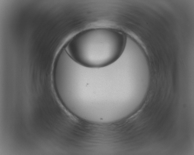 X0000070201469200605261023