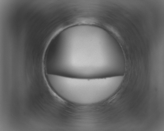 X0000070201471200605261023