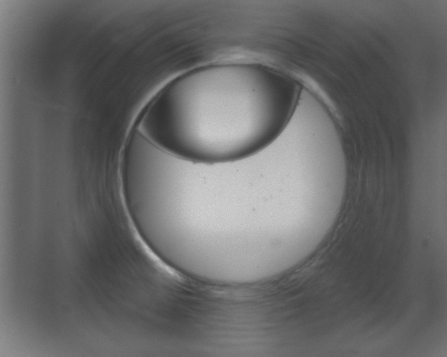 X0000070201476200605261023