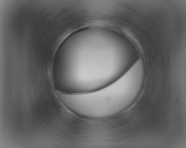 X0000070201481200605261023