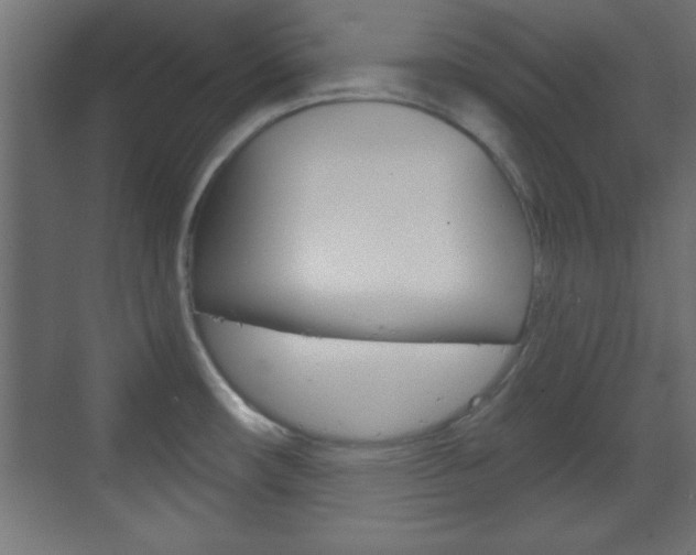 X0000070201482200605261023