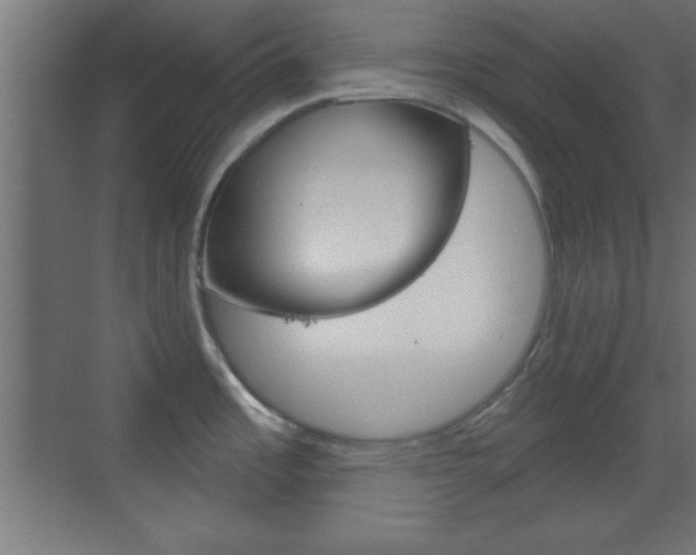 X0000070201485200605261023