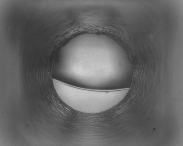 X0000070201490200605261022