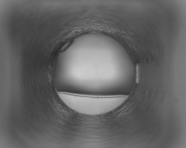 X0000070201491200605261022