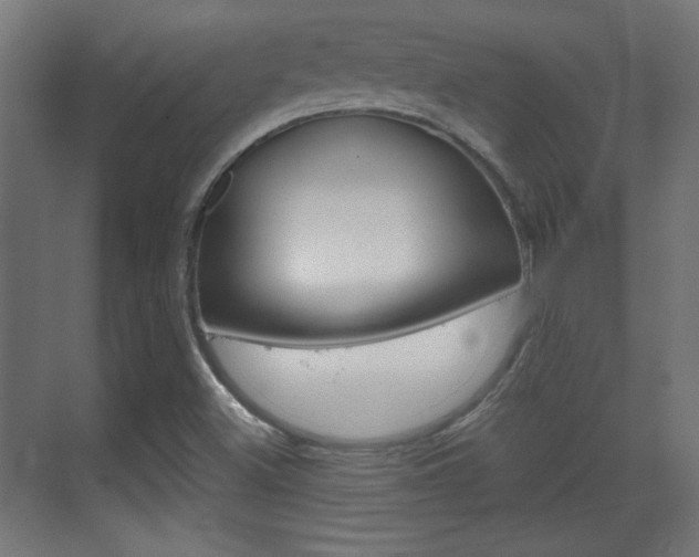 X0000070201500200605261022
