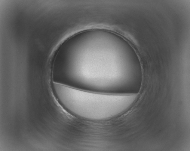 X0000070201504200605261022