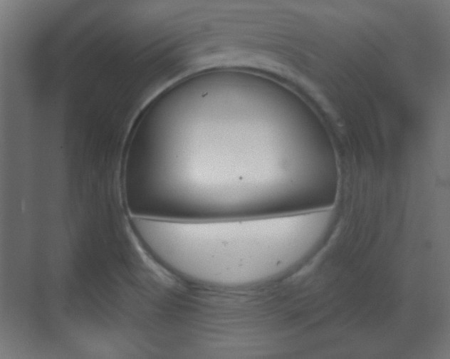X0000070201513200605261022