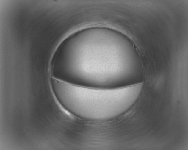 X0000070201519200605261023