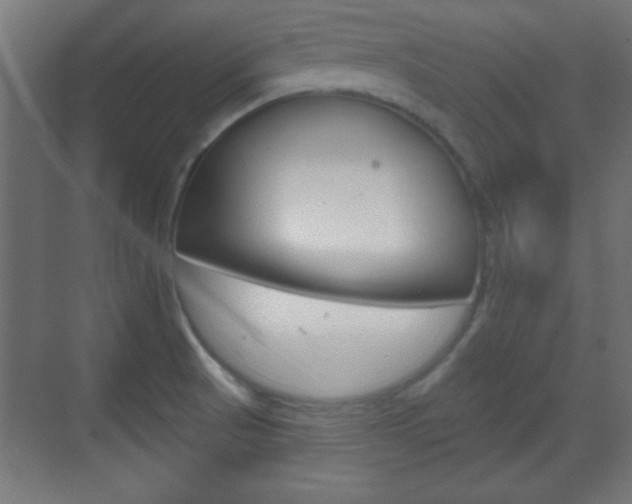 X0000070201521200605261023