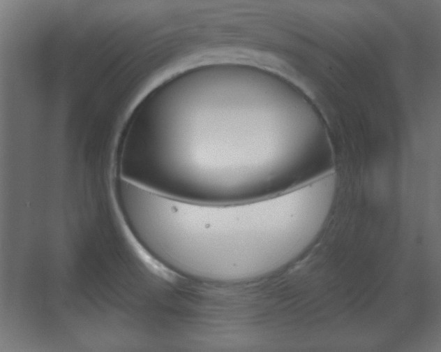 X0000070201523200605261023