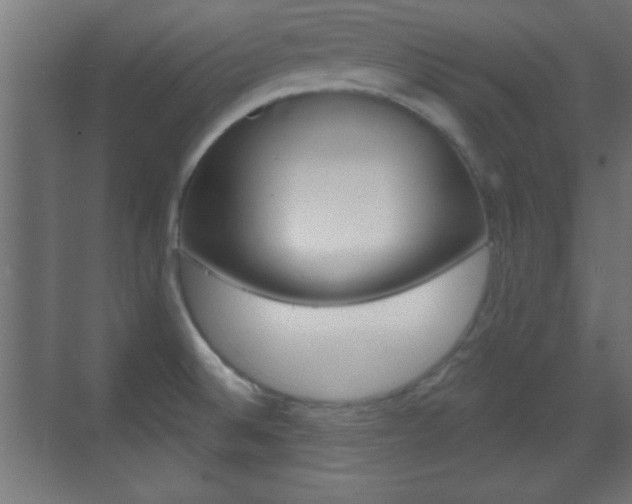 X0000070201524200605261023