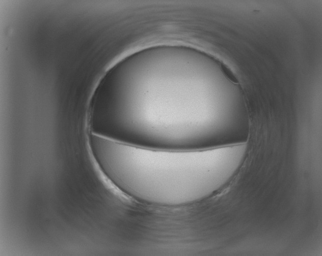 X0000070201526200605261023