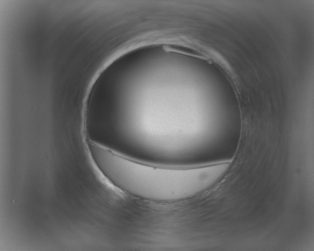 X0000070201528200605261023