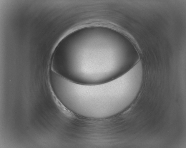 X0000070201530200605261023