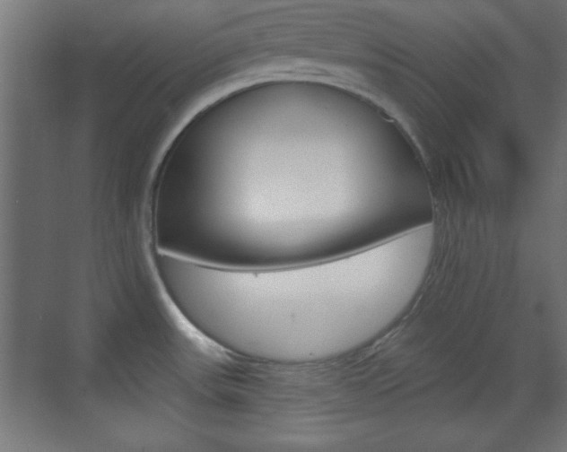 X0000070201531200605261023