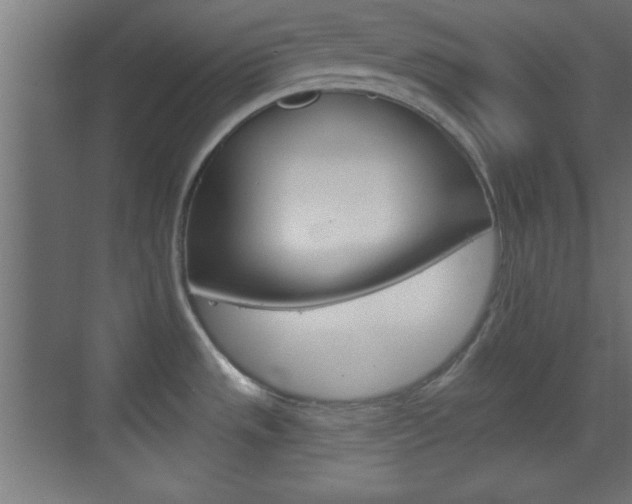 X0000070201533200605261023