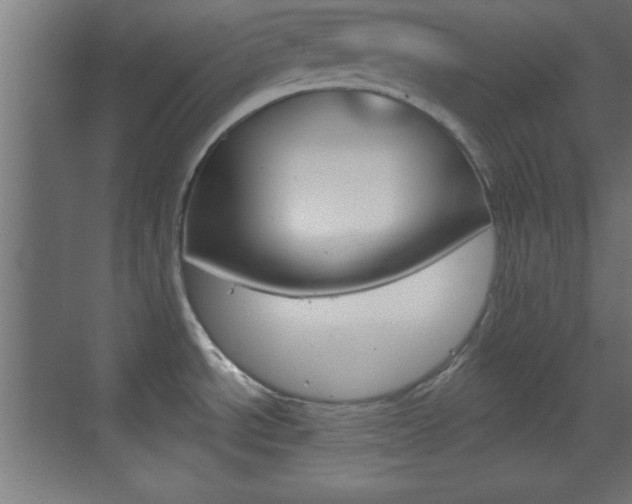 X0000070201534200605261023