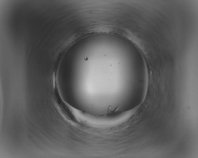X0000070200013200605261238