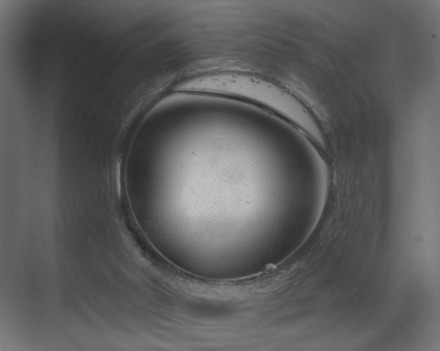 X0000070200014200605261238