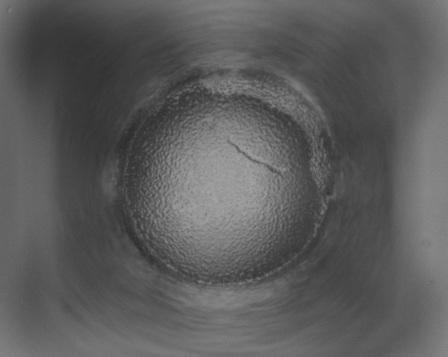 X0000070200018200605261238