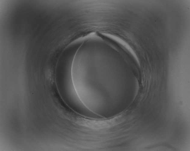 X0000070200031200605261238
