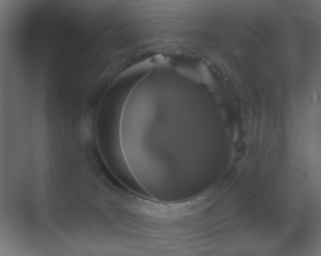 X0000070200035200605261237
