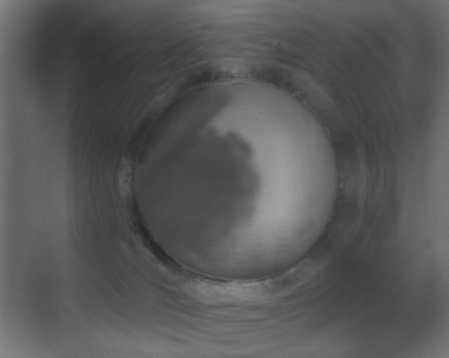 X0000070200036200605261237