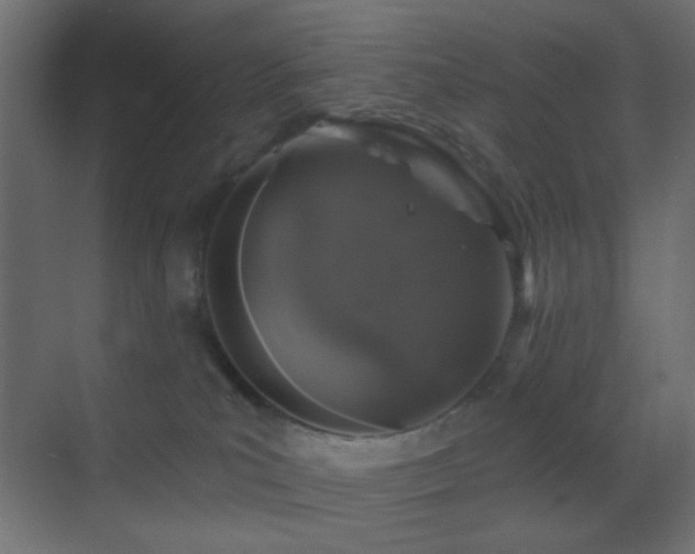 X0000070200039200605261237