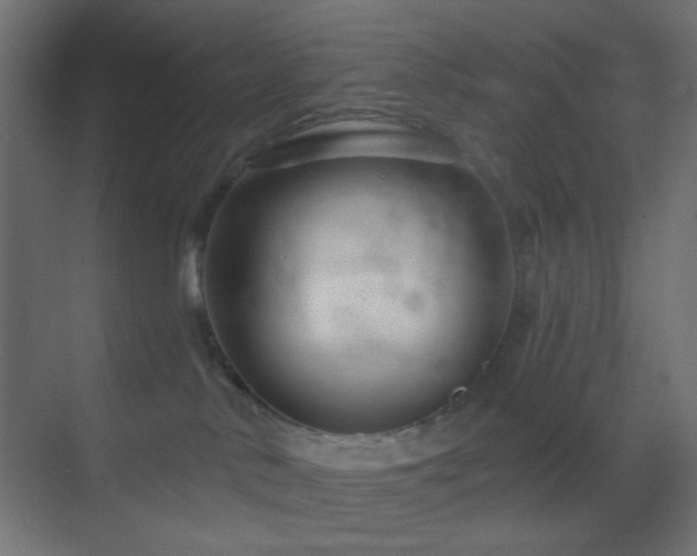X0000070200042200605261237