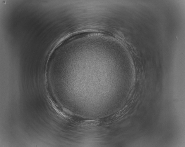 X0000070200050200605261236